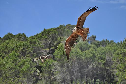 La Reserva-Parc de aventur