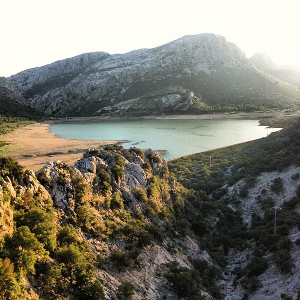 Naturaleza en estado puro (Camí a Sa Calobra)