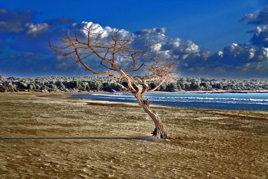 Playa de sa Coma