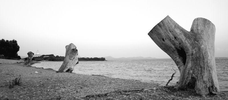 Playa de Alcanada en Mallorca