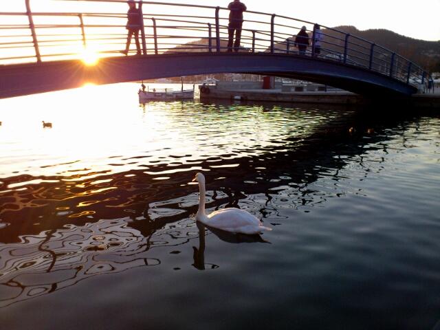 muelle del port d'Andratx