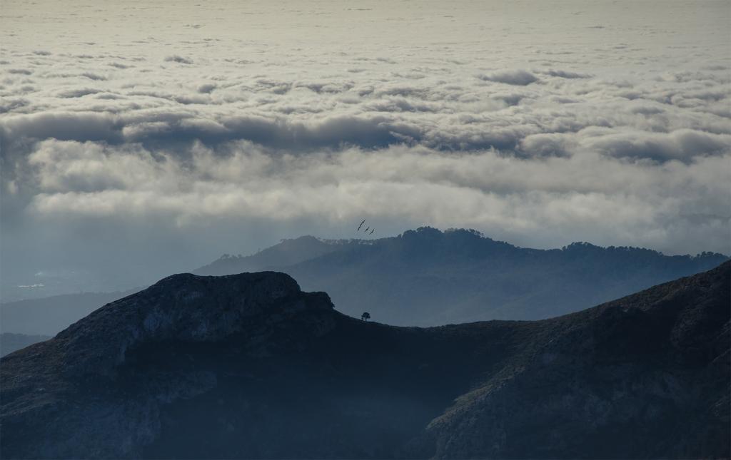 Puig de Galatzó con nubes