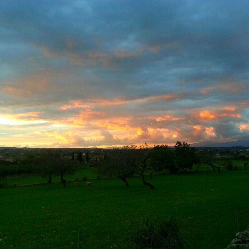 Tarde de otoño...
