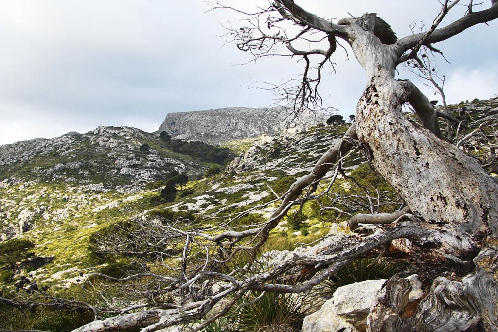 Mola de s'Esclop en la Serra de Tramuntana