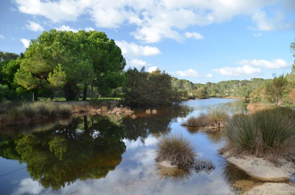 Parc natural de Mondragó en Mallorca