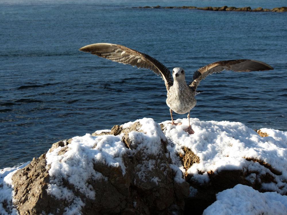 Nieve en la Playa de Palma