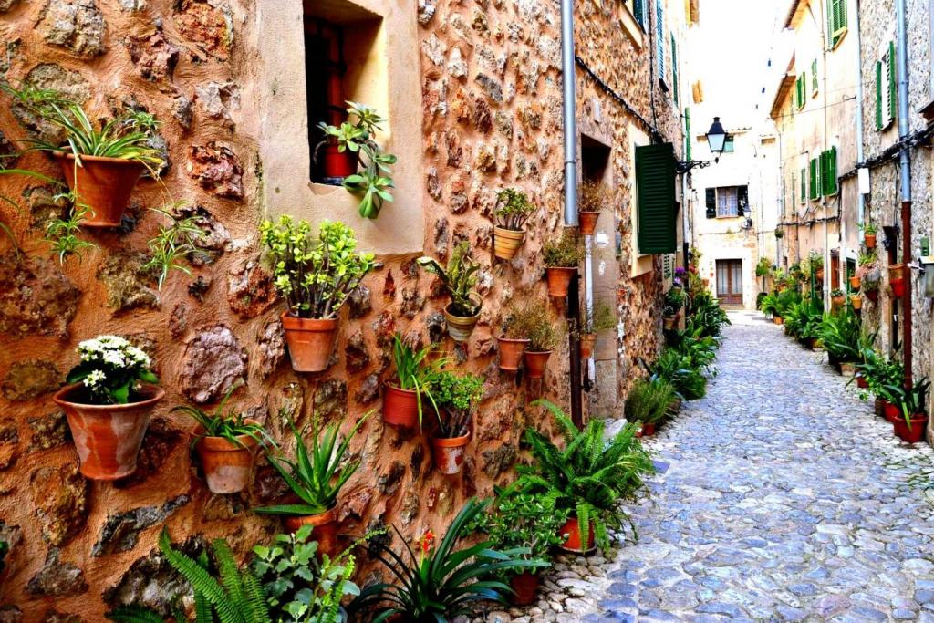 Calle empedrada en Valldemossa