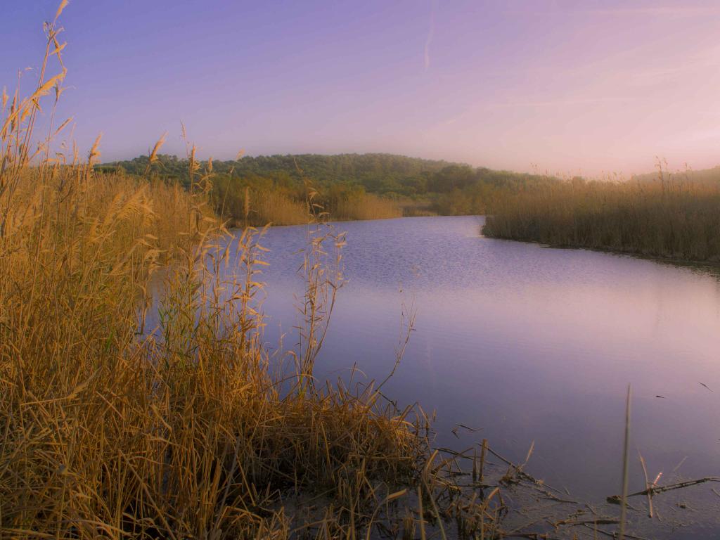 Torrente de na Borges en Son Serra de Marina
