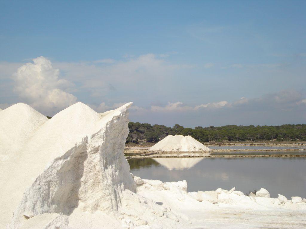 Salinas de la Colònia de Sant Jordi