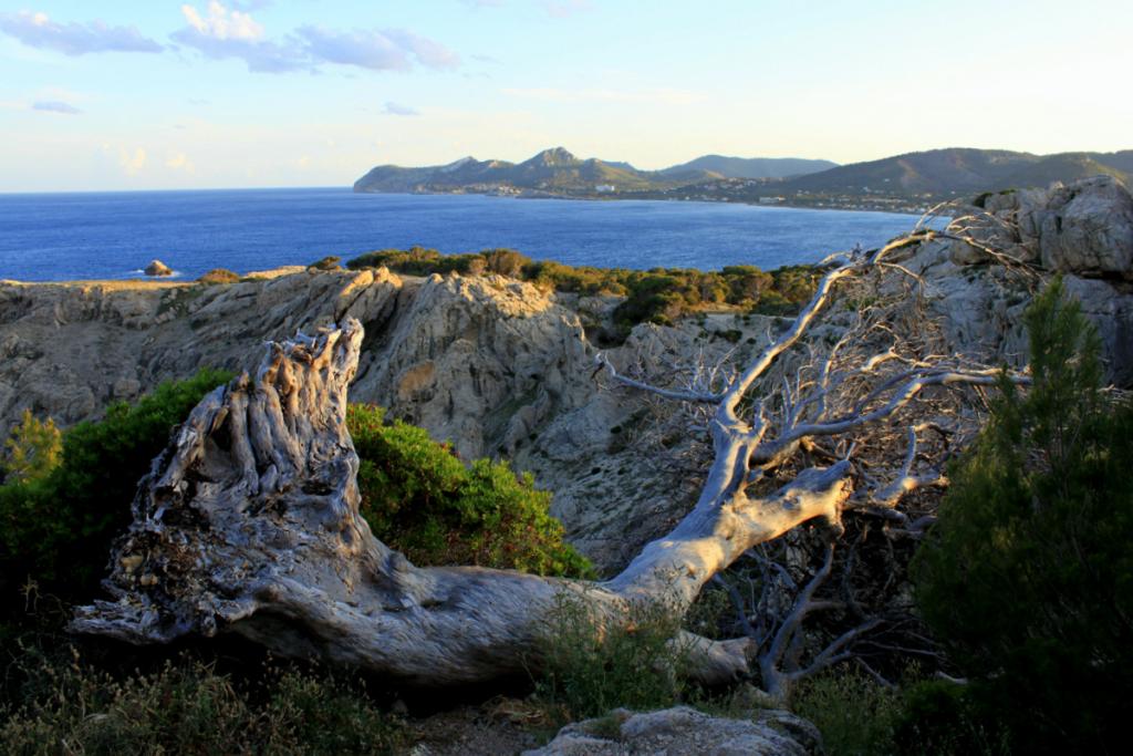 Otoño en Mallorca