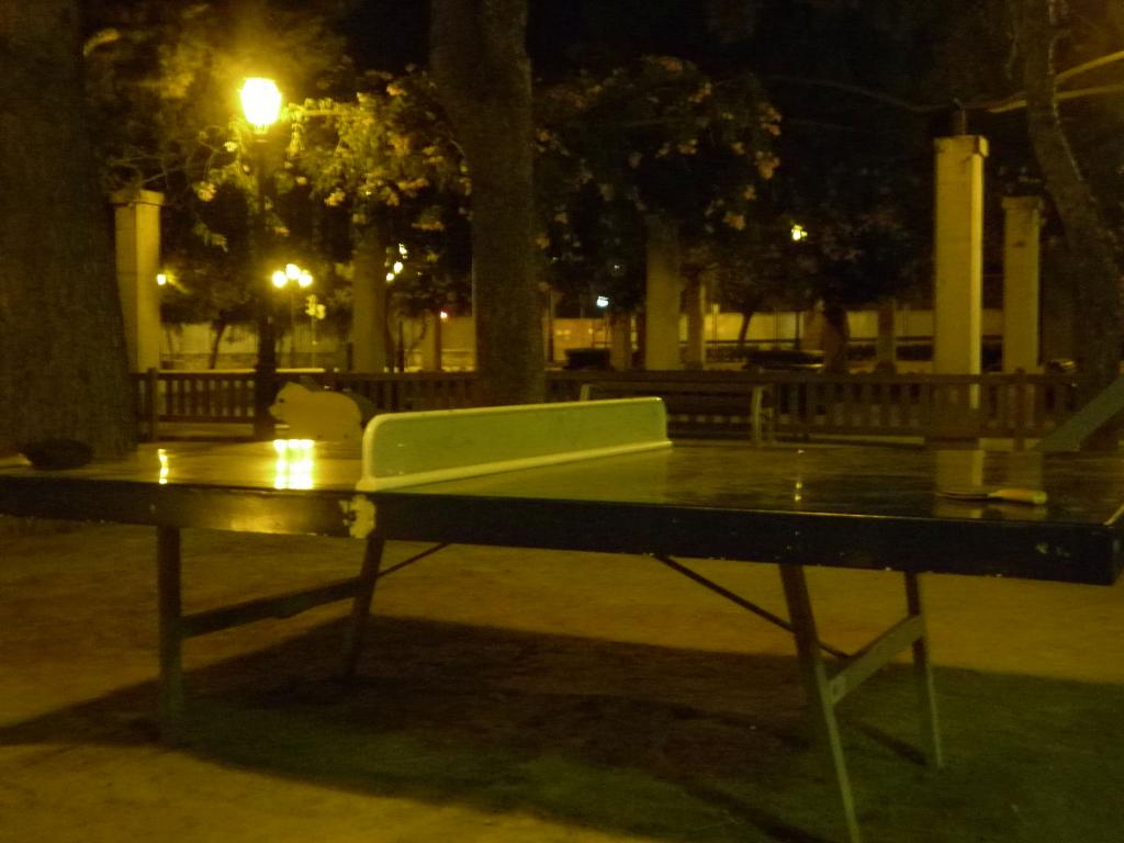 ping palma