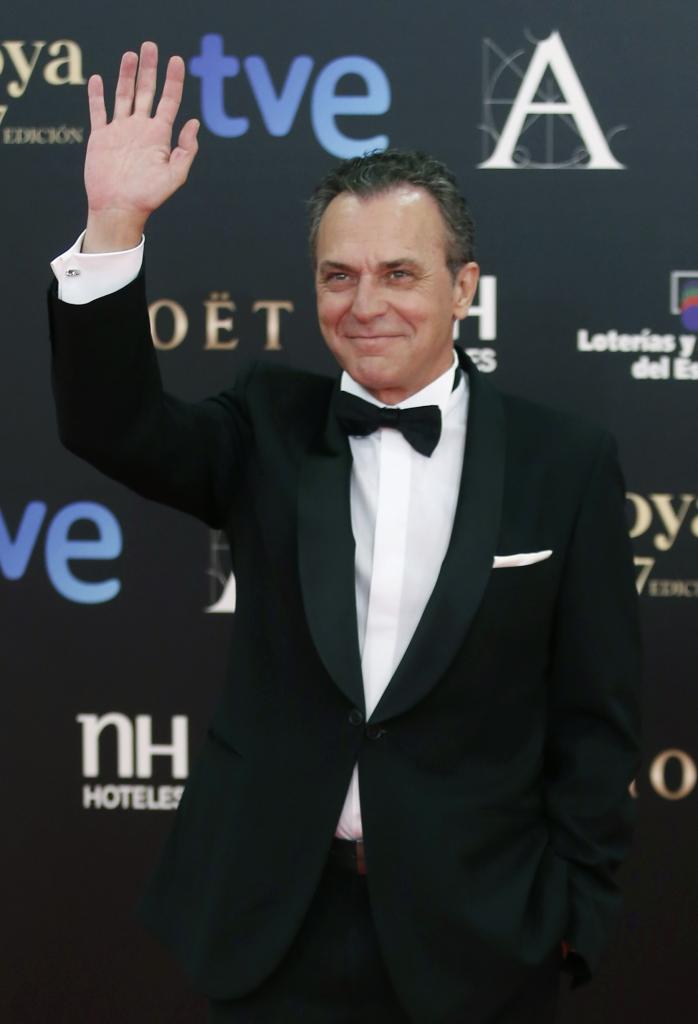 Premios Goya 2013