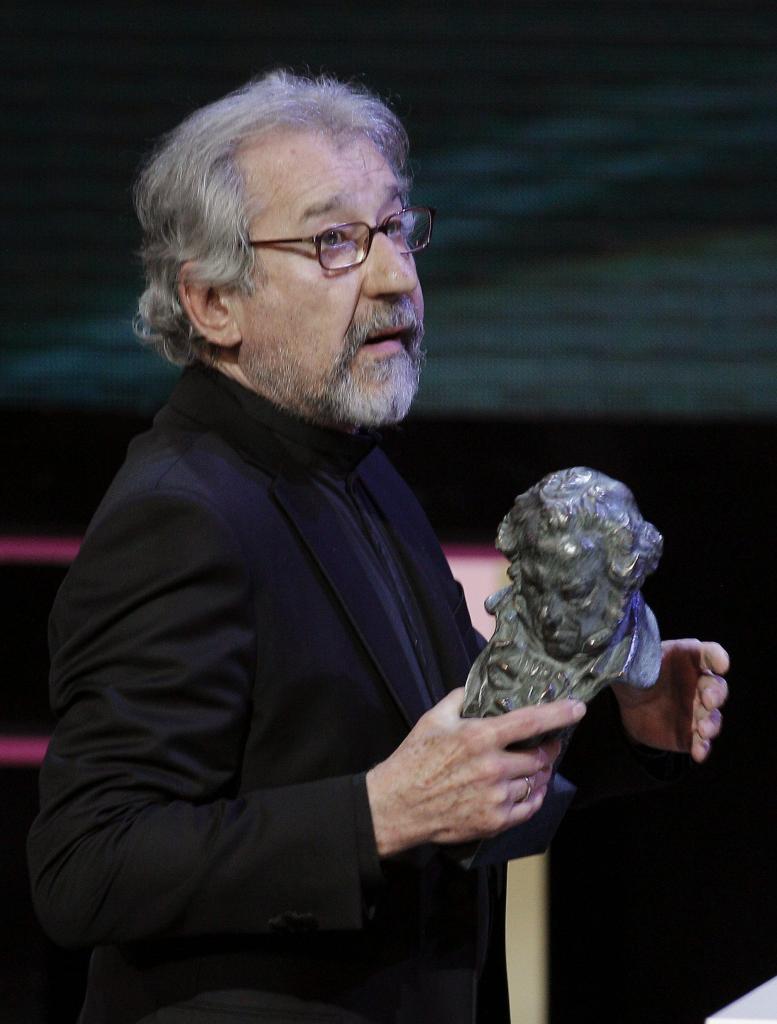Premios Goya 2013