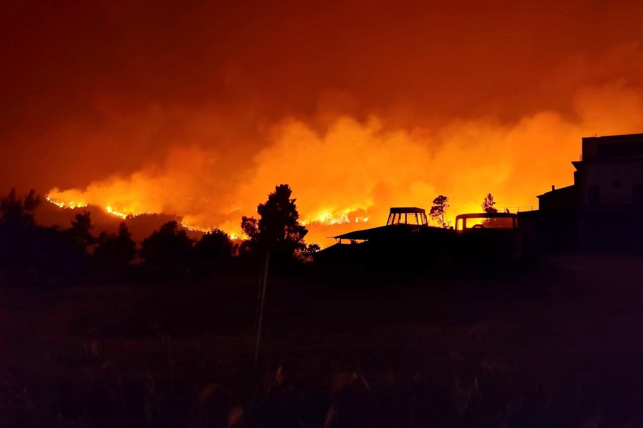 Evia fires continuing on three extensive fronts