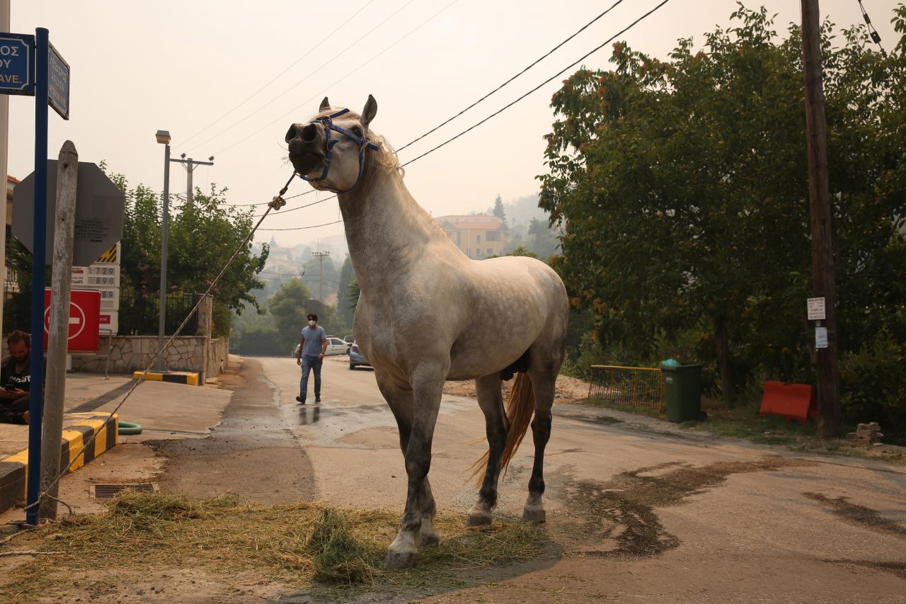 Devastating Attica fires still blazing