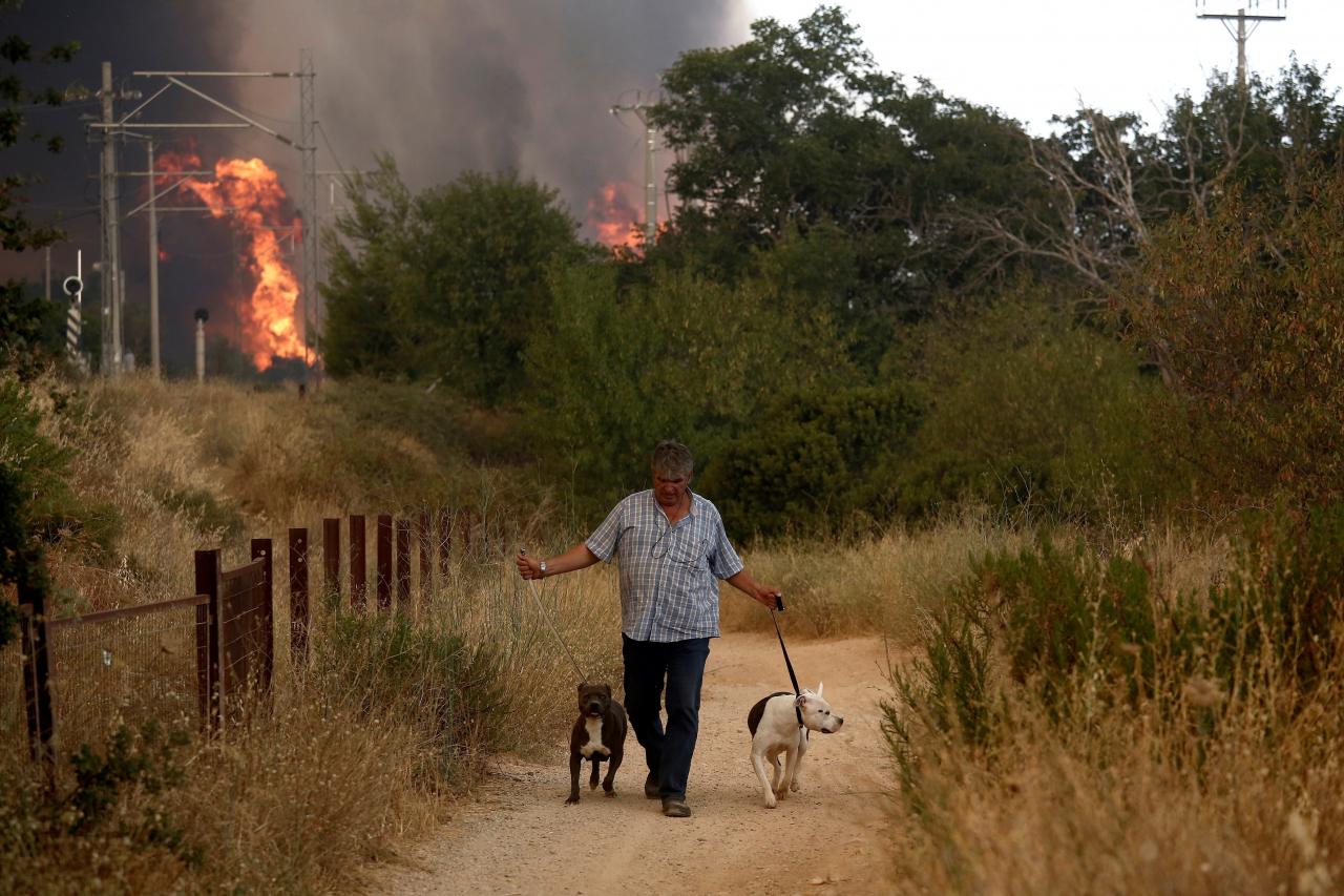 Major fire breaks out in Varybobi, Attica