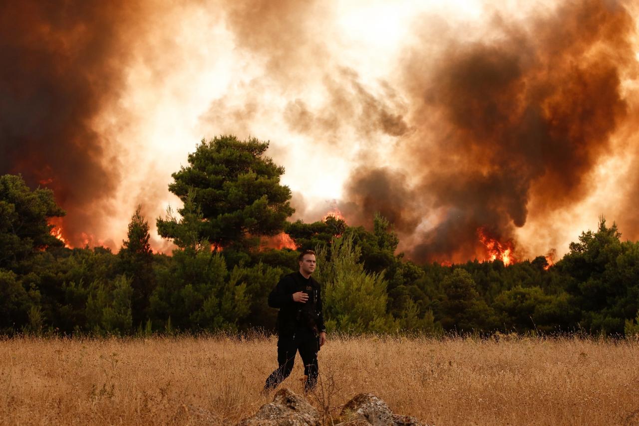 incendio mediterráneo