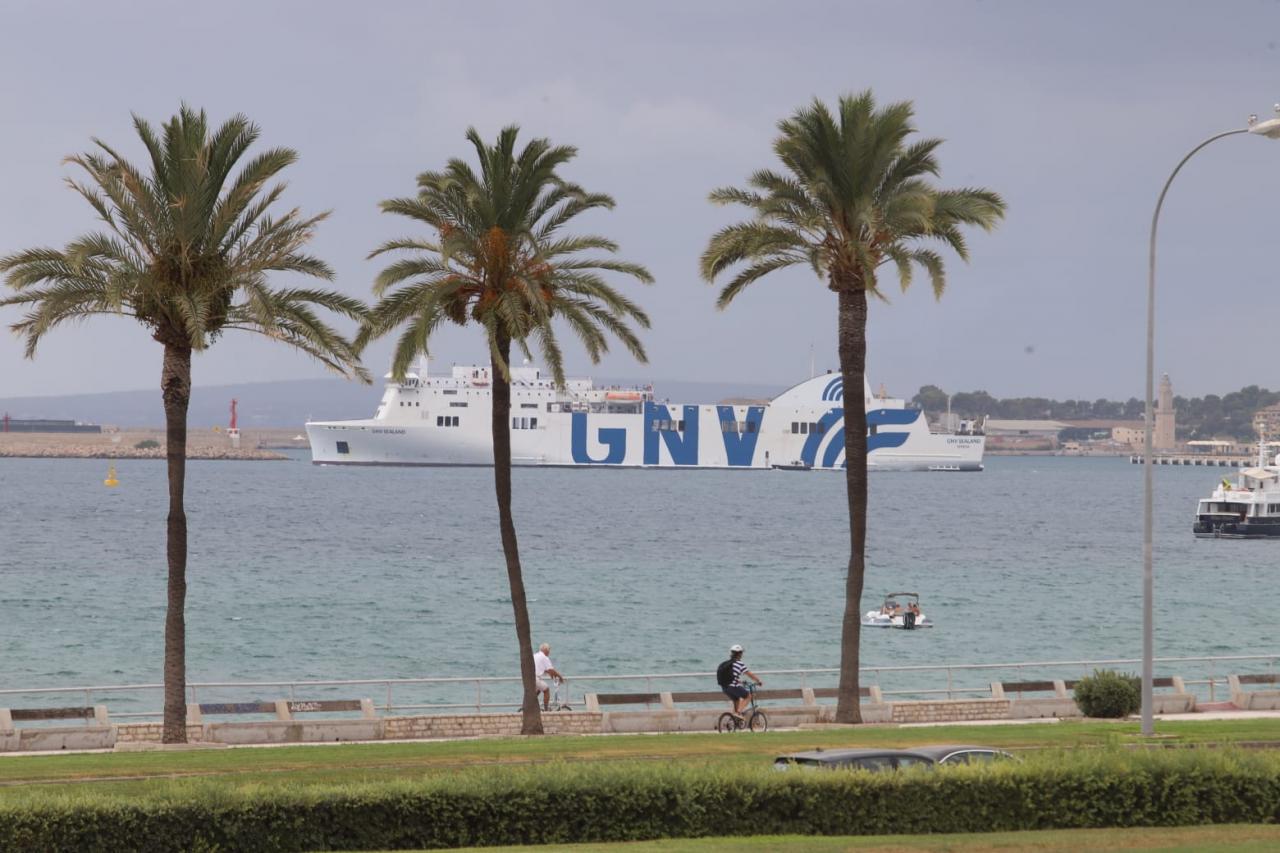 Caos en un barco atracado en Palma