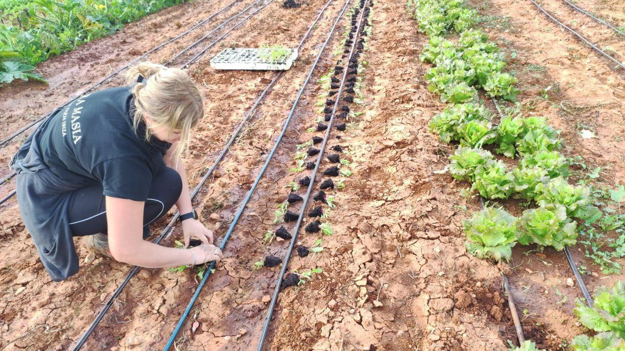 Ayudas para jóvenes agricultores de Baleares Ayudas para jóvenes agricultores de Baleares