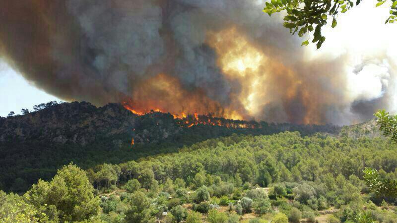 Incendio Forestal en Sa Coma Calenta de Andratx