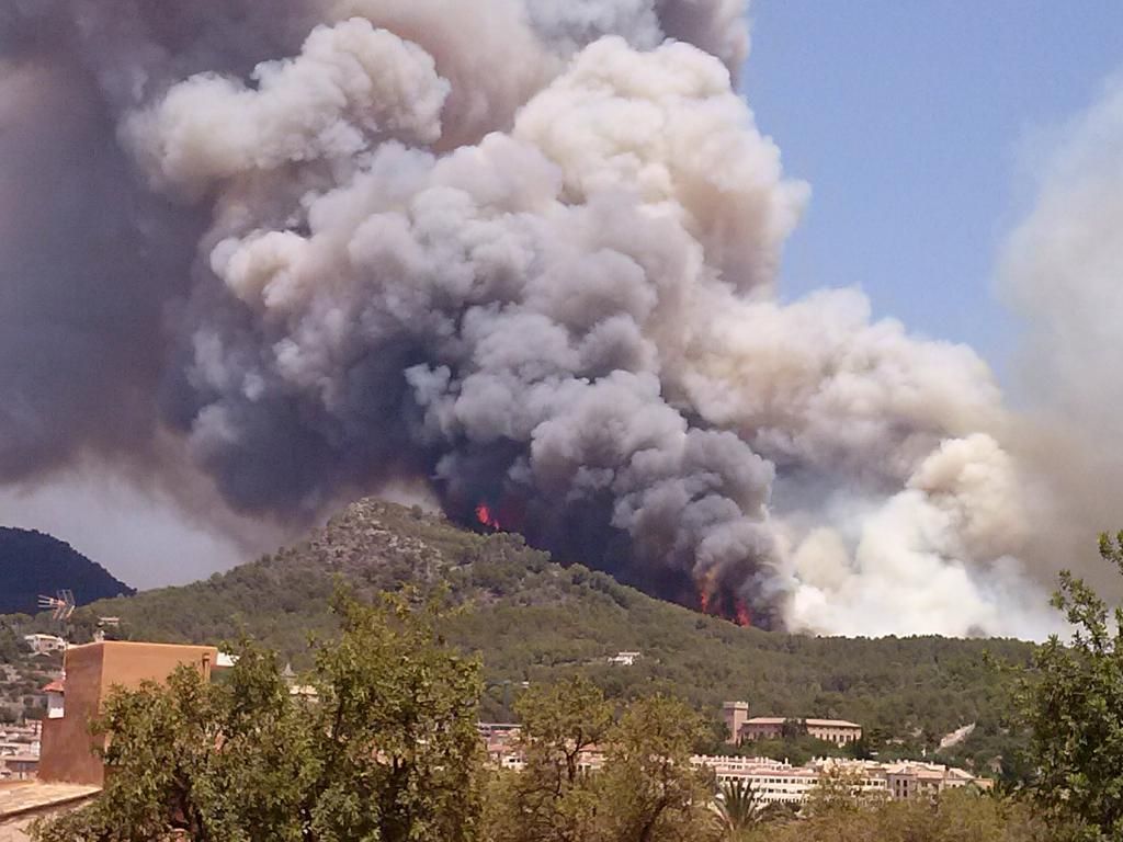 Incendio forestal en Sa Coma Calenta de Andratx, en Mallorca
