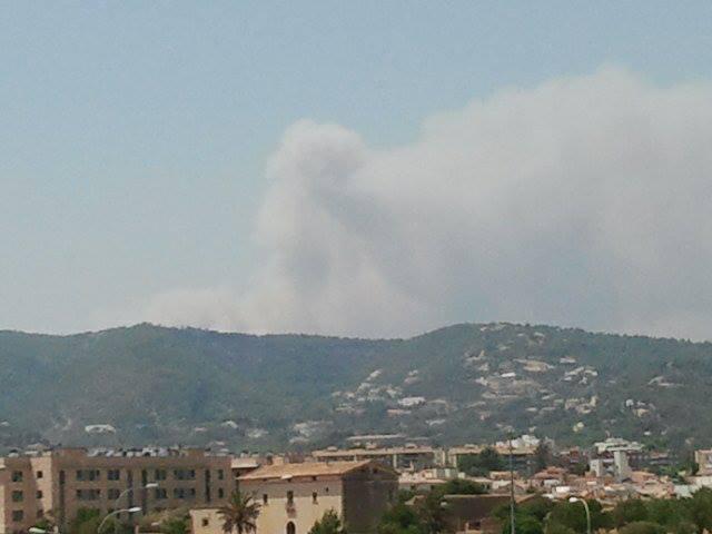 Incendio forestal en Sa Coma Calenta de Andratx, en Mallorca