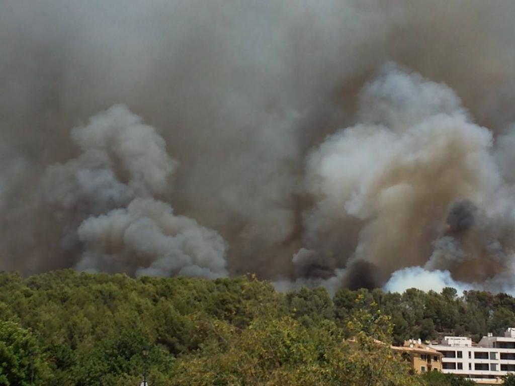 Incendio Forestal en Sa Coma Calenta de Andratx