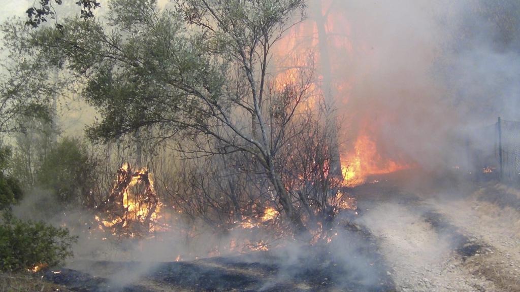 Incendio Forestal en Sa Coma Calenta de Andratx
