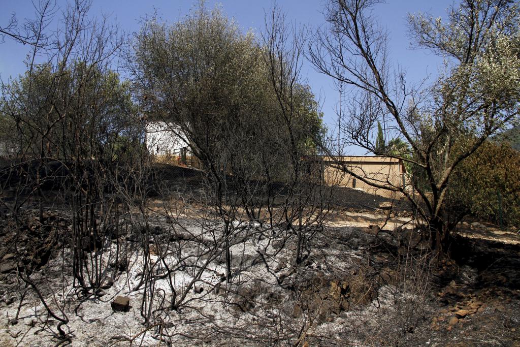 Incendio Forestal en Sa Coma Calenta de Andratx