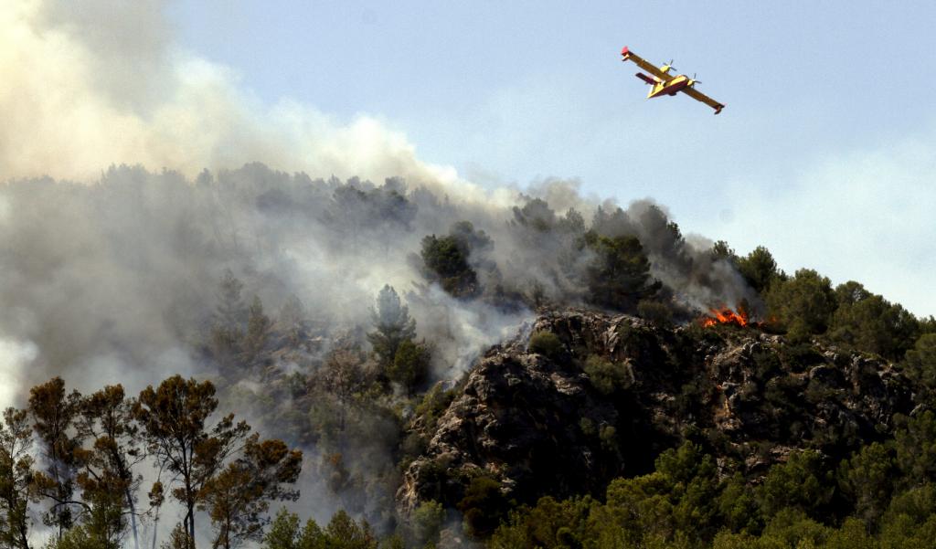 Incendio Forestal en Sa Coma Calenta de Andratx