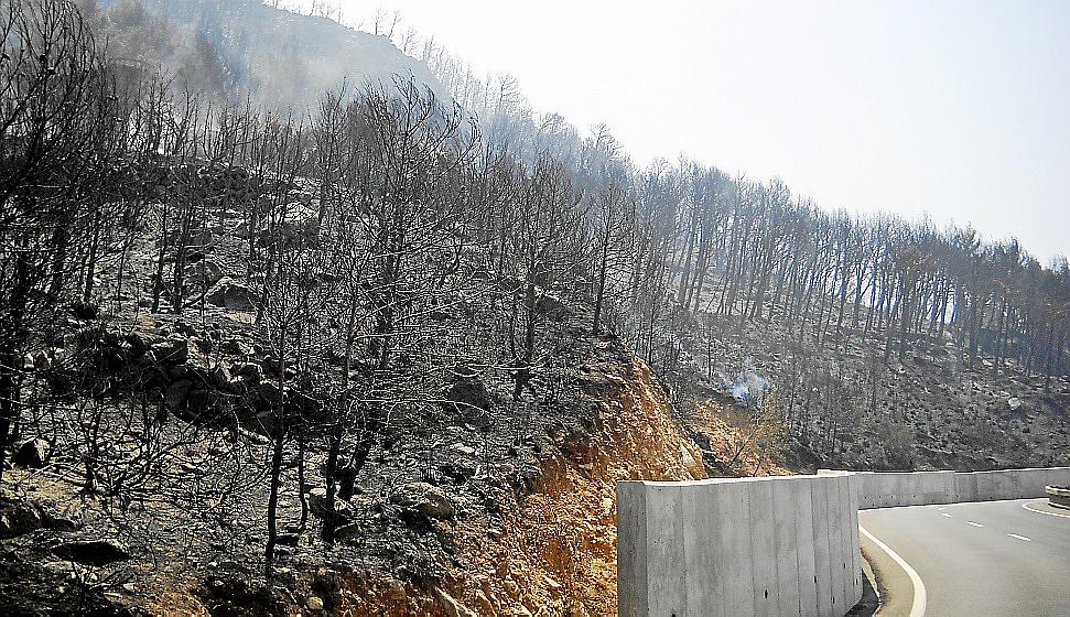 Incendio