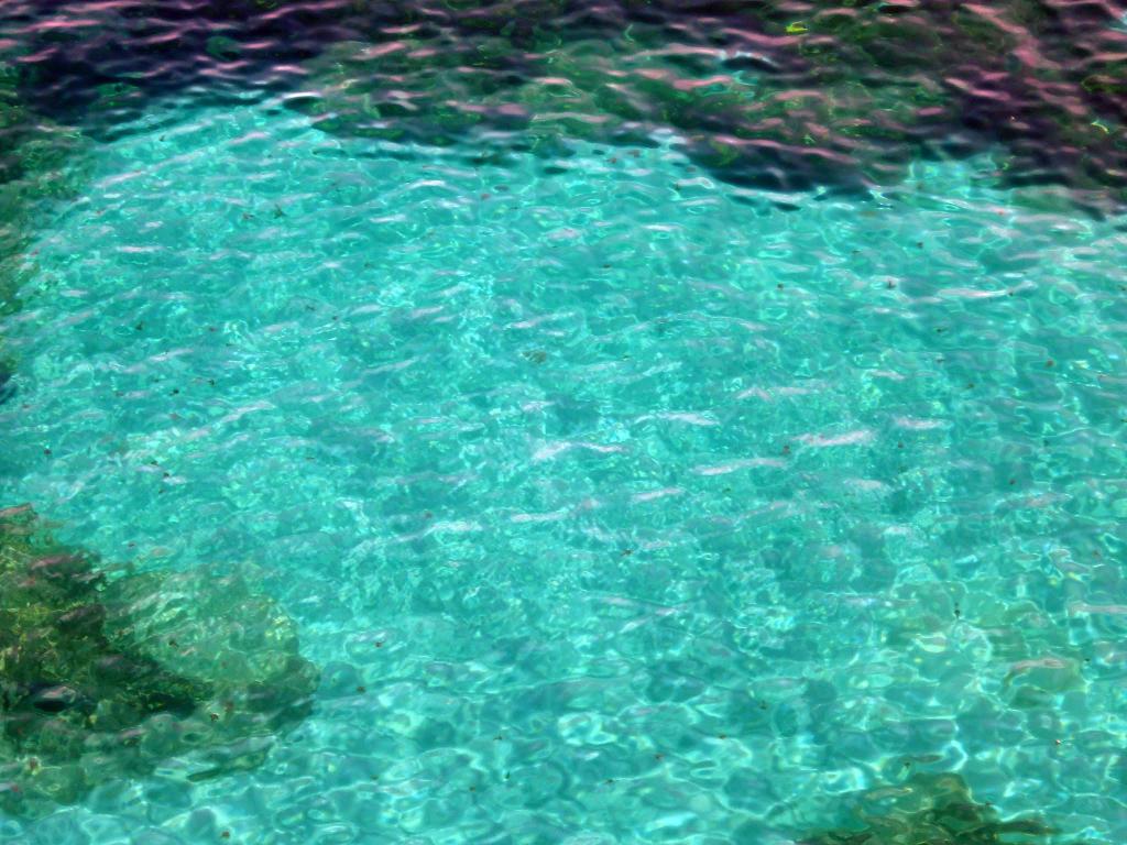 Aguas tranquilas