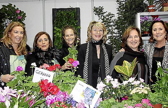 BRISAS COCTEL NUEVO FUTUROAMALIA ESTABENPALMA