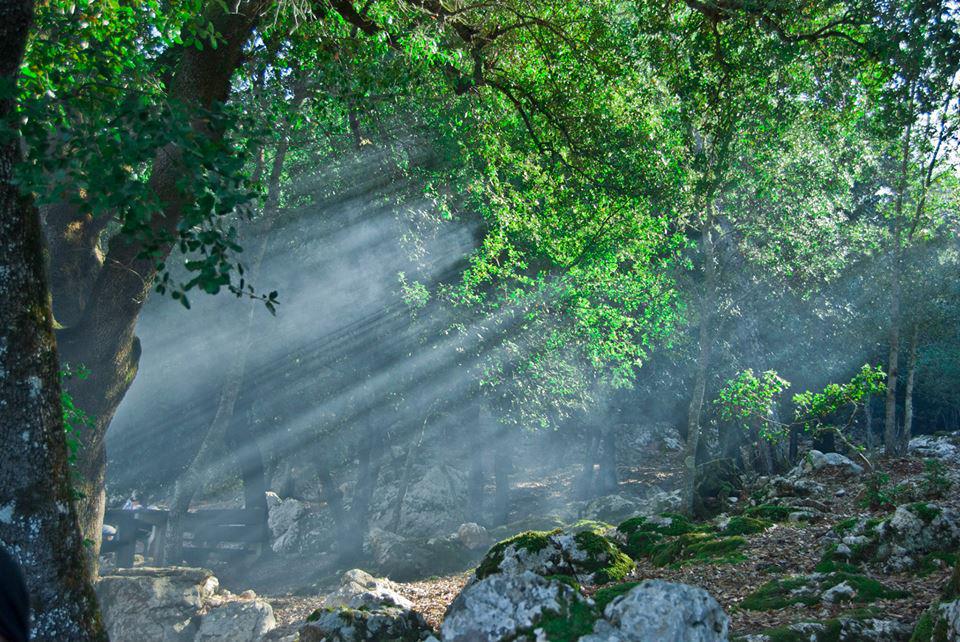 Rayos de sol