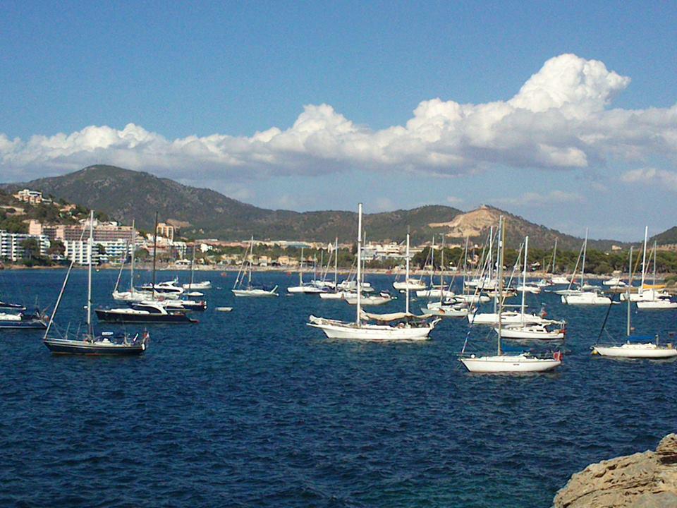 Mástiles sobre el mar