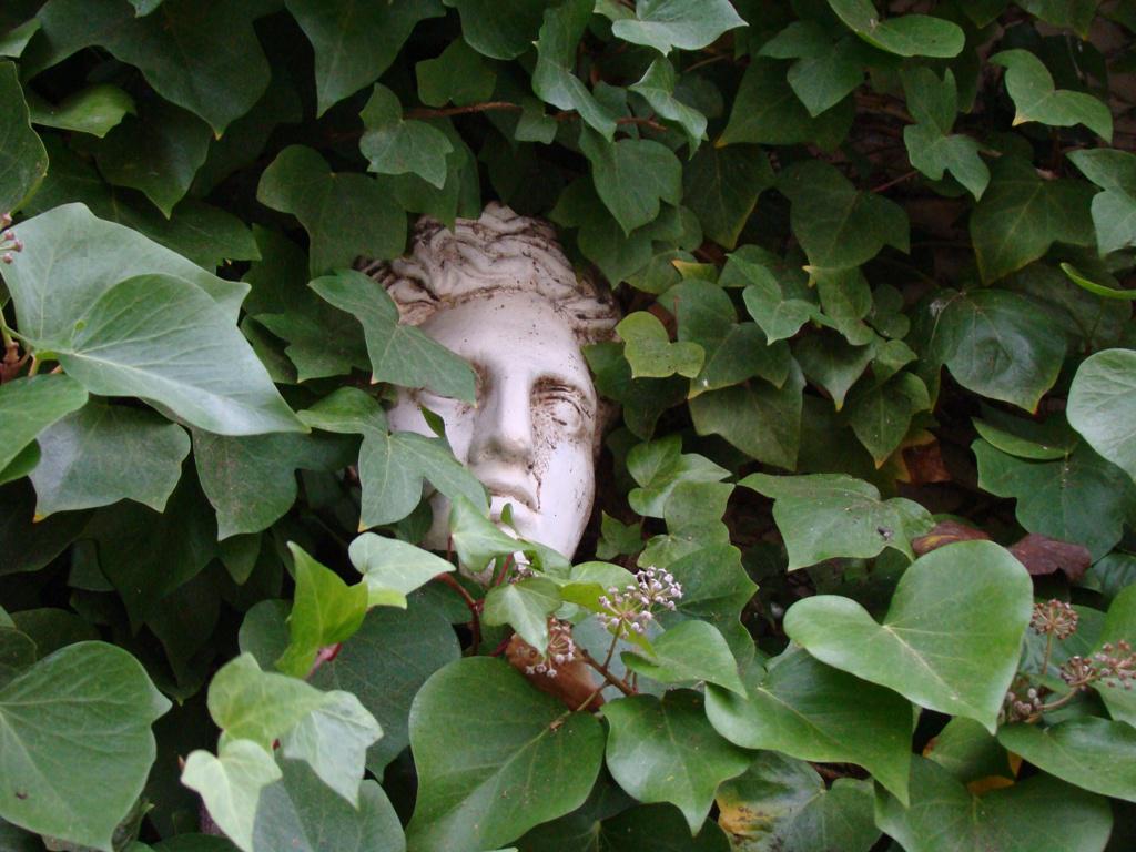 Rostro amagat