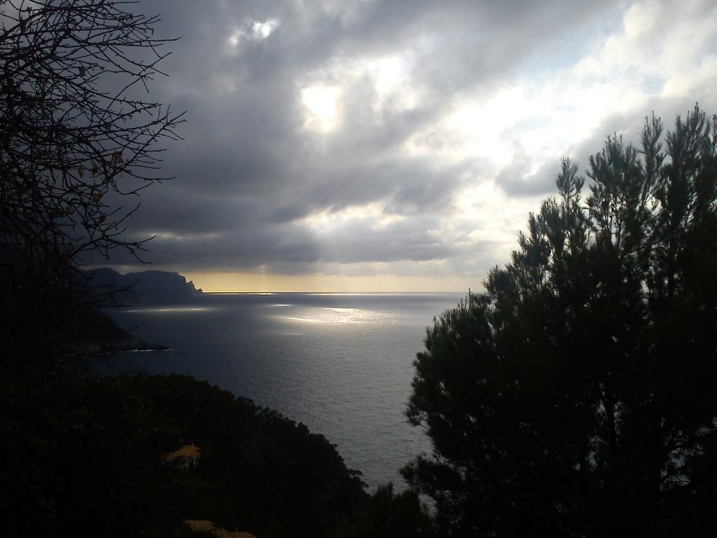 Llums i ombres
