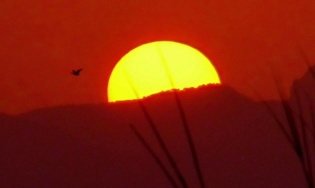 Puesta de sol en s'Albufera de Mallorca