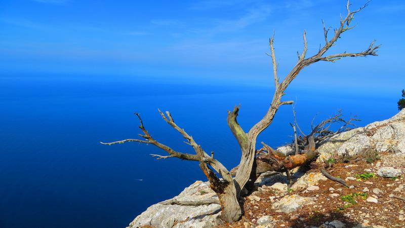 Costa Nord de Mallorca
