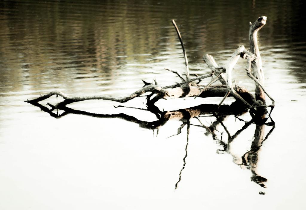 Albufera de Alcúdia
