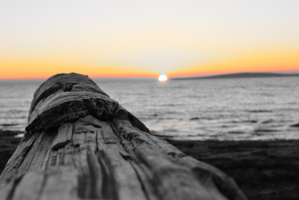 Puesta de sol en es CArnatge