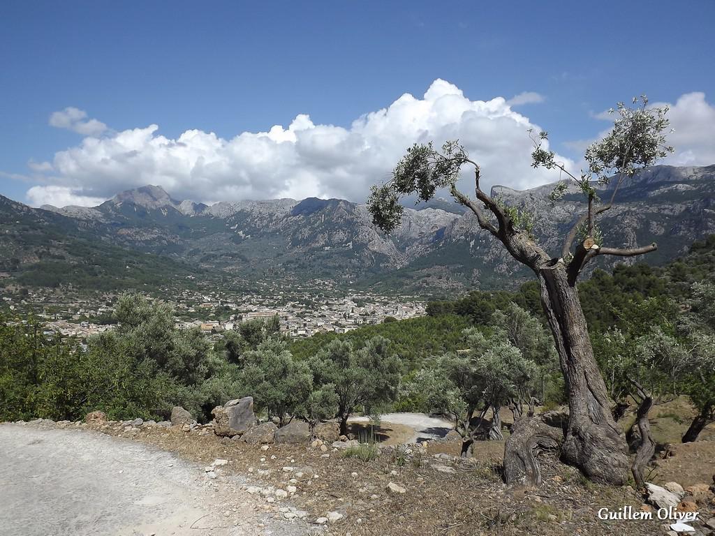Vall de Sóller