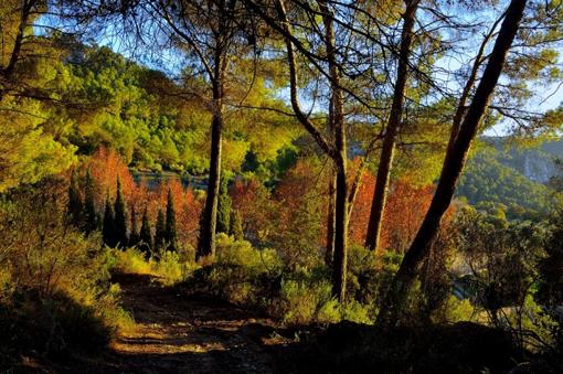 otoño en vall d'argent