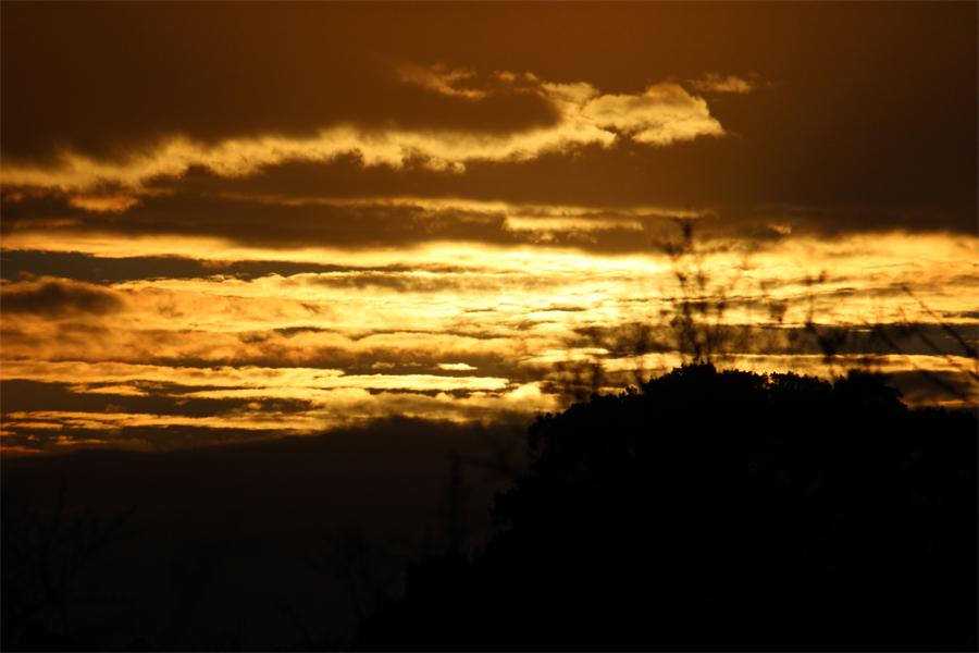 atardecer