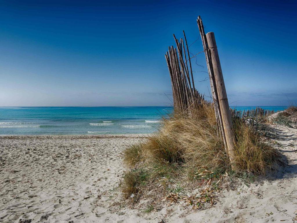 playa de Es Trenc, Mallorca