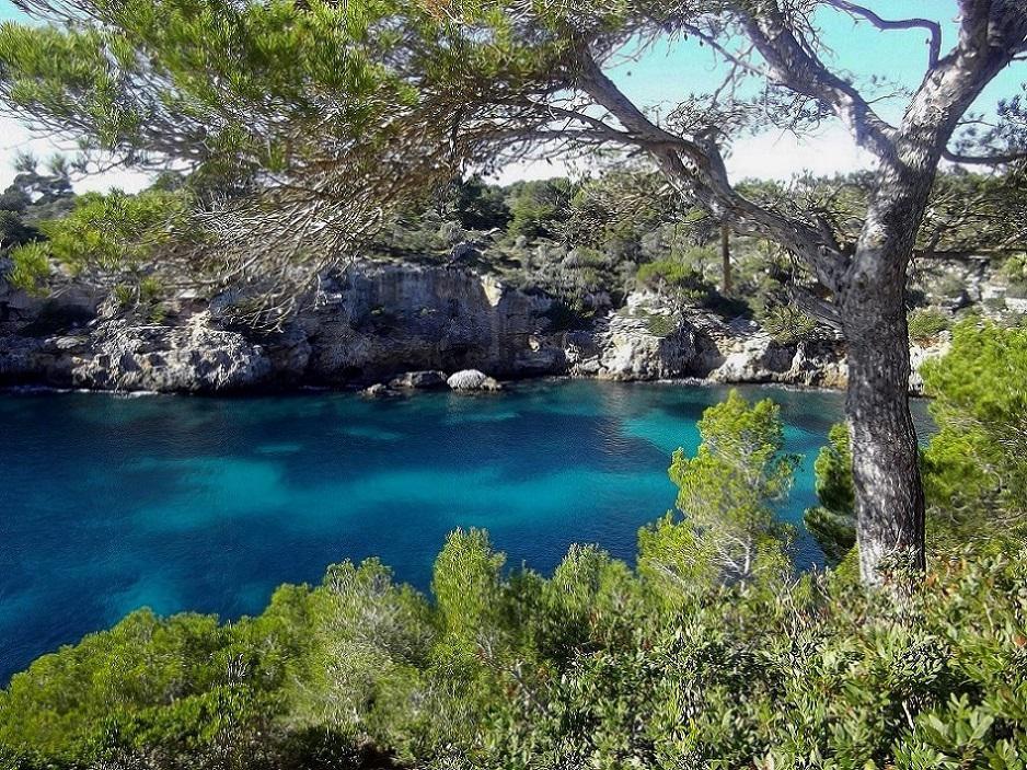 Cala Pi, calas de Mallorca
