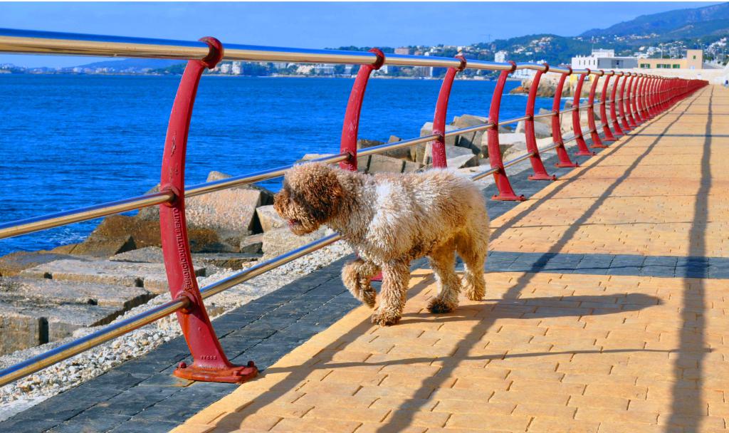 frente al mar