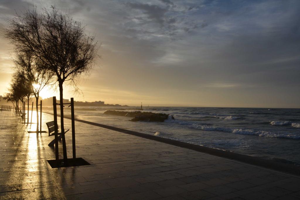 amanecer