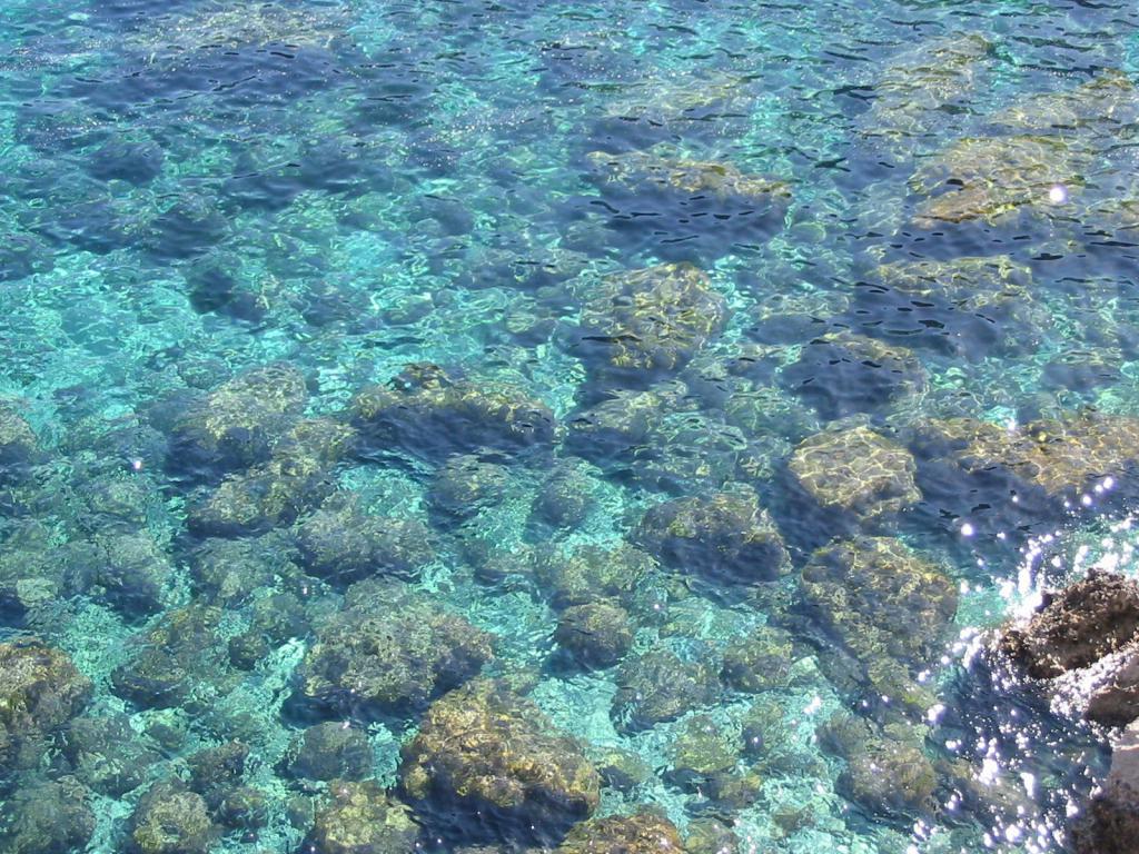 Banyalbufar