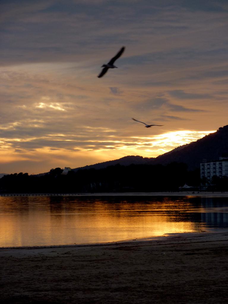atardecer en la playa del port d'alcúdia